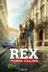 Постер к сериалу Комиссар Рэкс: Перезапуск